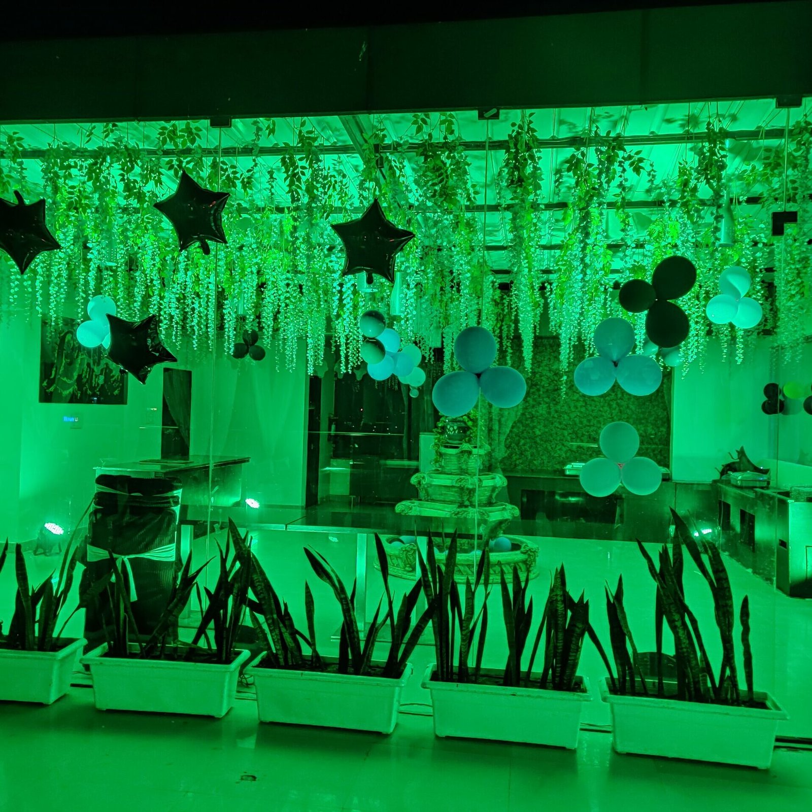 Roof Top Green Theme Party